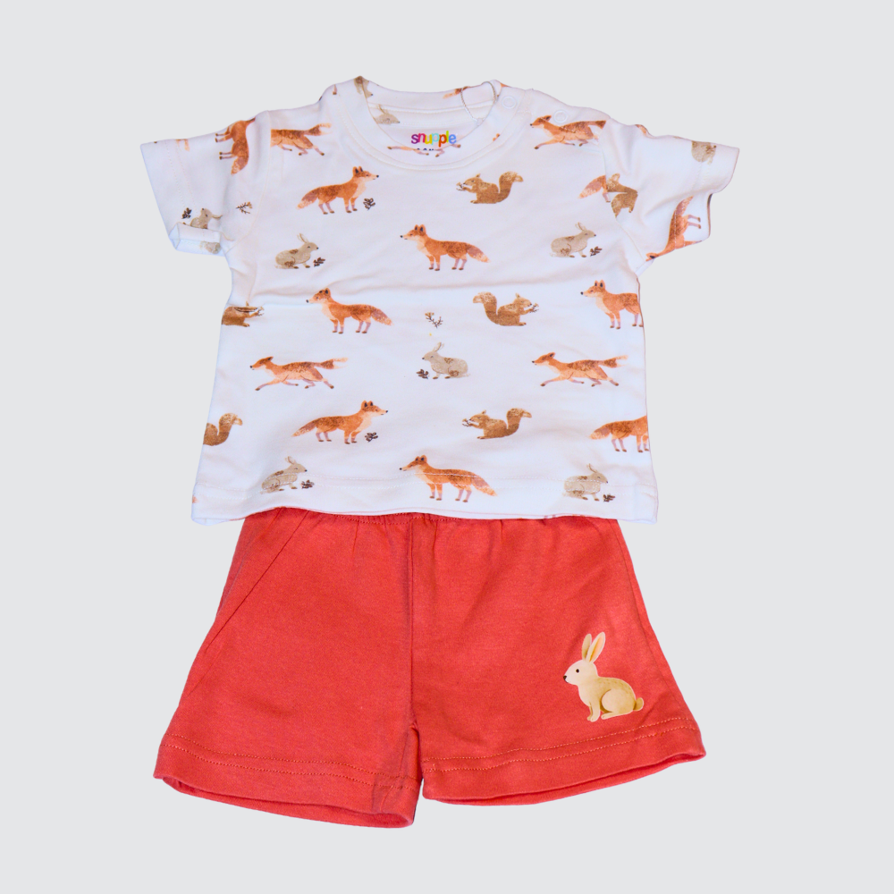 baby unisex two-piece set